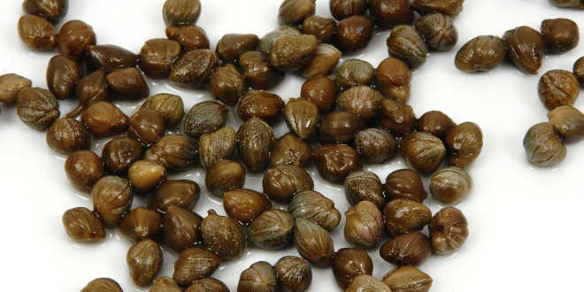 Alcaparras fuente quercetina Alcaparras fuente quercetina