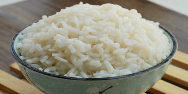 Arroz de Konjac y pollo Arroz de Konjac y pollo