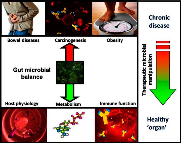 Balance microbial