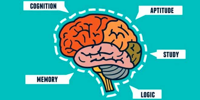 Capacités Cognitives