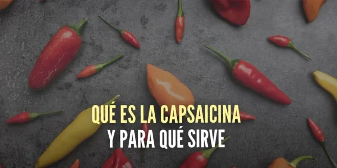 Beneficios de la Capsaicina para perder peso y reducir el dolor articular Beneficios de la Capsaicina para perder peso y reducir el dolor articular