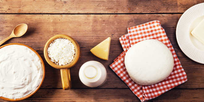 lactobacillus reuteri in dairy products
