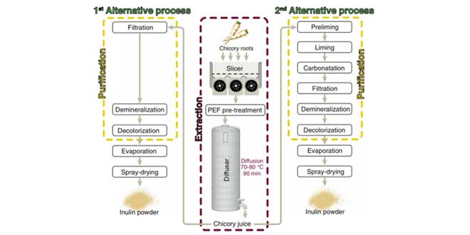 Extraccion de la inulina