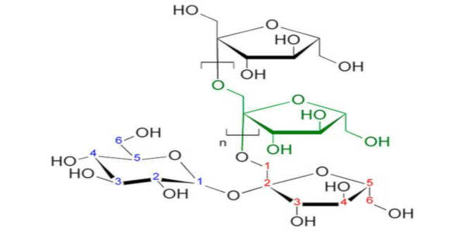 Inulina y grasas saturadas