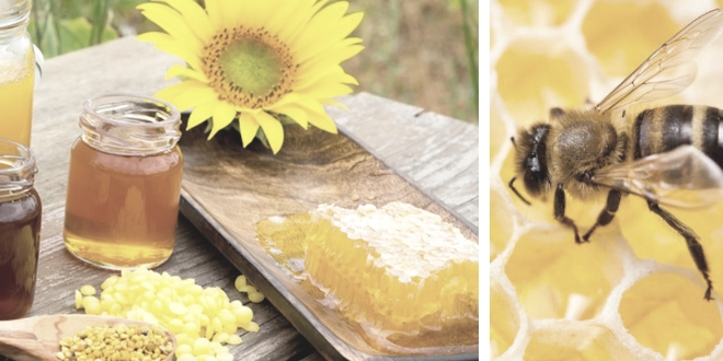 Jalea Real, una sustancia natural con efectos terapéuticos Jalea Real, una sustancia natural con efectos terapéuticos