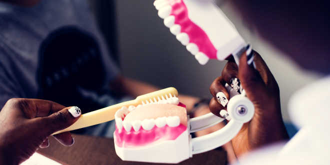 lactobacillus reuteri for dental health