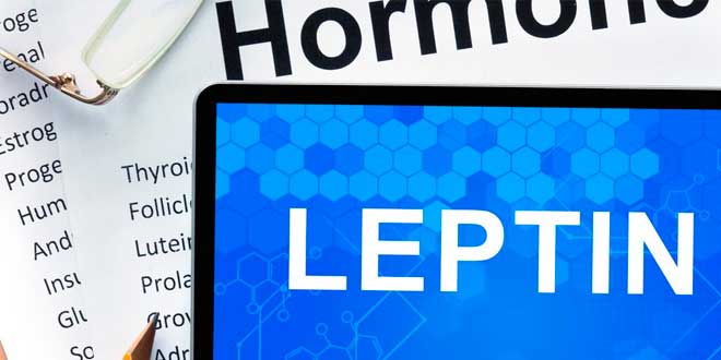 Leptina