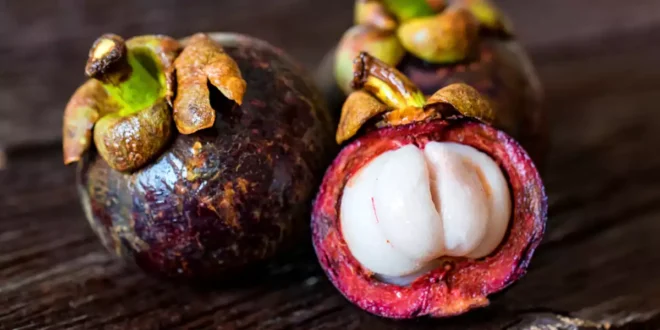 Todos los beneficios del Mangostán para la salud Todos los beneficios del Mangostán para la salud