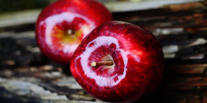 manzana fuente quercertina manzana fuente quercertina