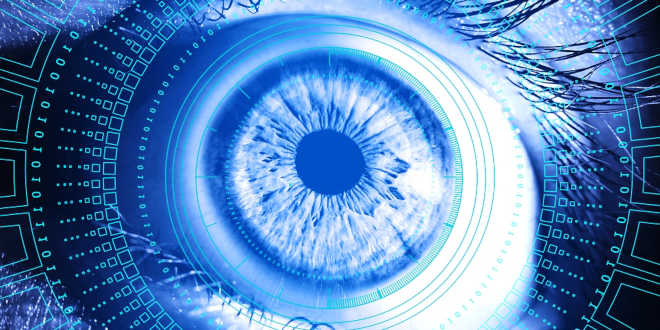 Propriétés zéaxanthine