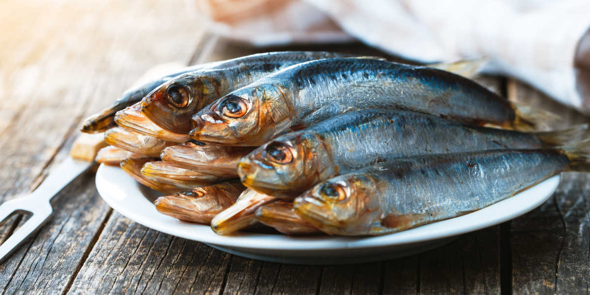 ¿Es la sardina fuente de hierro?
