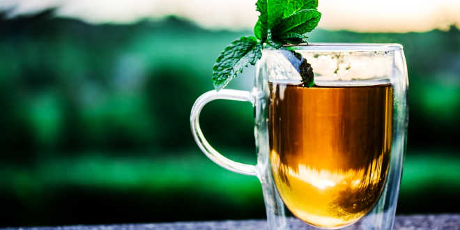 té fuente quercetina té fuente quercetina