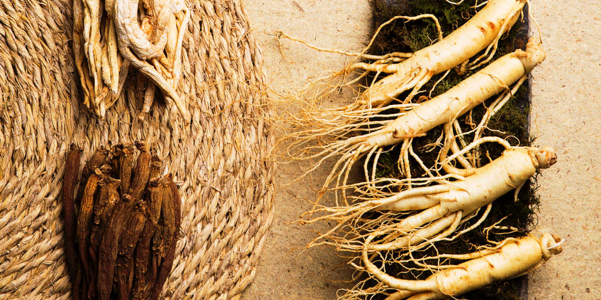 ¿Qué beneficios tiene el ginseng para tu salud? ¿Qué beneficios tiene el ginseng para tu salud?