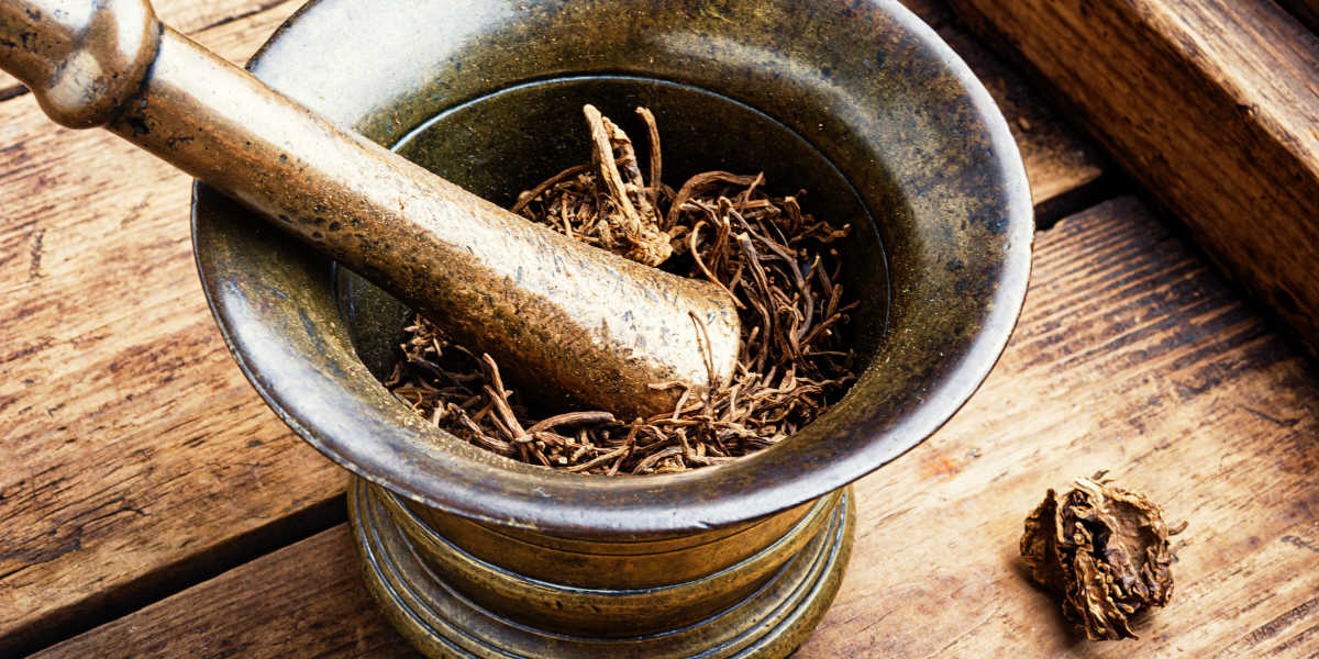 ¿Qué es y para qué sirve la Valeriana?