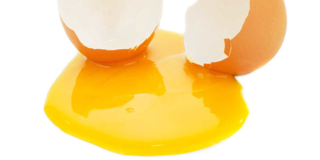 Alimentos Ricos en Zinc