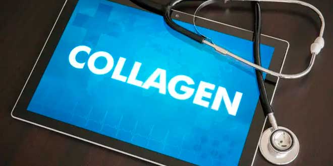 Tout sur cette substance vegan collagen Tout sur cette substance vegan collagen