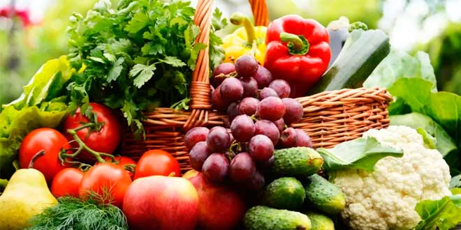 Alimentos de comida real