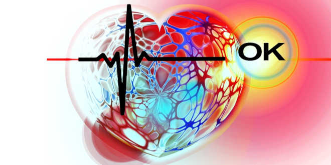 Claves para cuidar la salud cardiovascular Claves para cuidar la salud cardiovascular