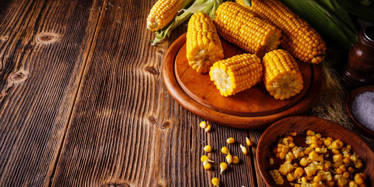 ¿Hay algún tipo de glucosamina vegetal?