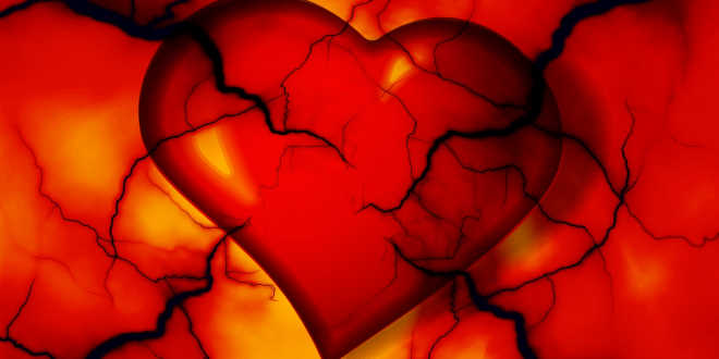 Recomendaciones salud cardiovascular Recomendaciones salud cardiovascular