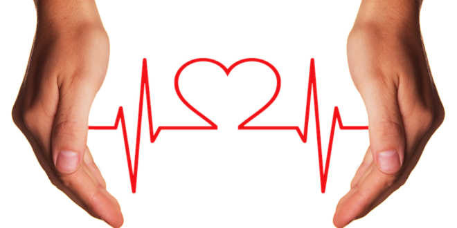 Cómo cuidar nuestro Corazón: Alimentos y buenas rutinas Cómo cuidar nuestro Corazón: Alimentos y buenas rutinas