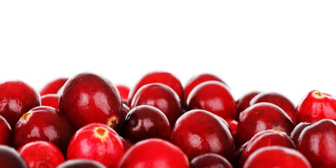 Arándano rojo como remedio cistitis