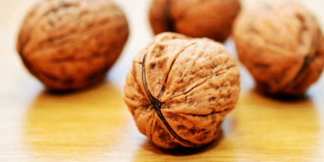 Nueces fuente vitamina E