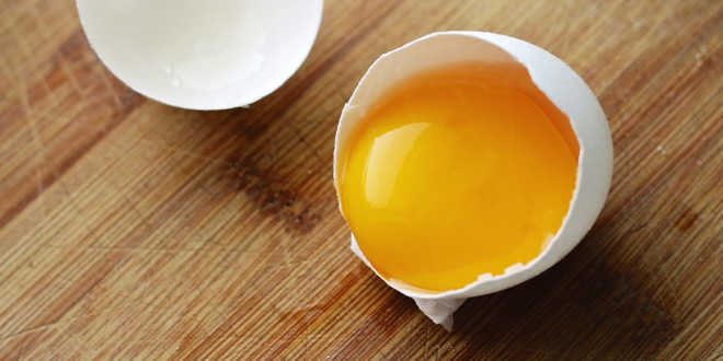 Yema de huevo salud ocular