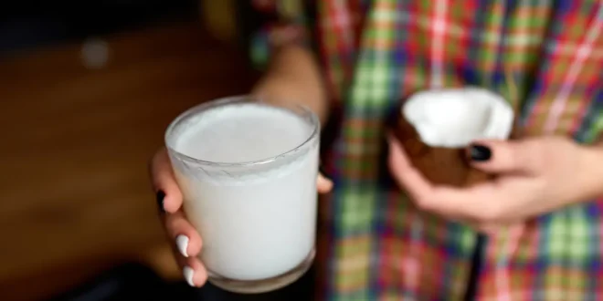 Leche de coco – Qué es, Propiedades y Beneficios Leche de coco – Qué es, Propiedades y Beneficios
