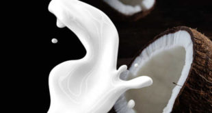 Beneficios Leche de Coco