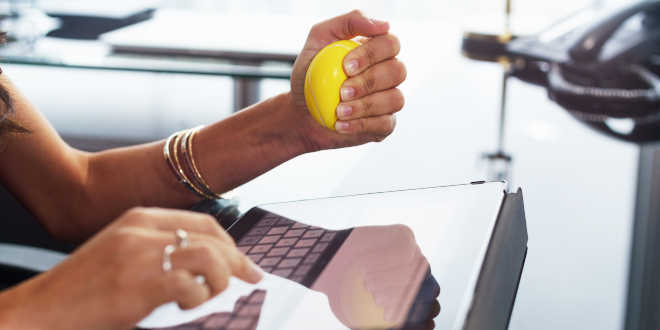 Bacopa Monnieri – Una planta con la que mejorar la función cognitiva