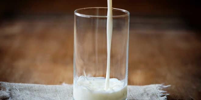 Salud leche de coco Salud leche de coco