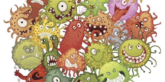 La Microbiota mejora con la Dieta Cetogénica