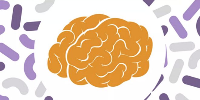 Microbiota y saciedad