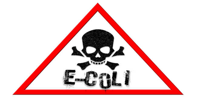 lactobacillus helveticus contre e-coli