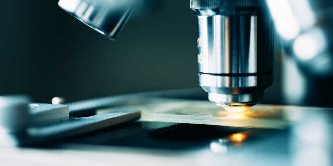 investigaciones cáncer fruta de monje