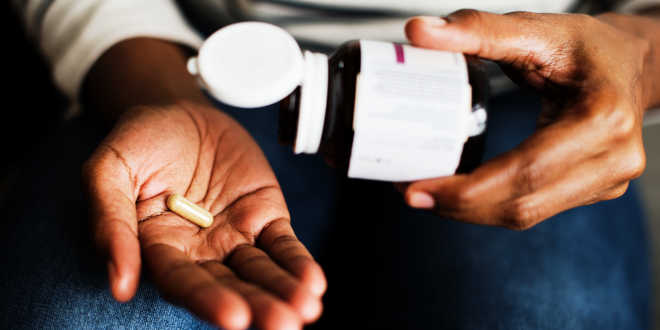 lactobacillus helveticus propriétés