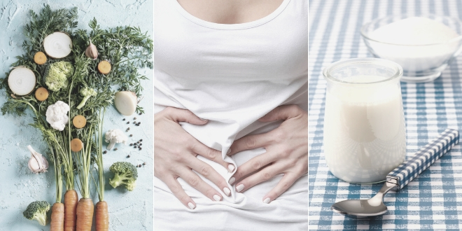 probióticos flora intestinal beneficios