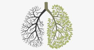 Suplementos para Fumadores