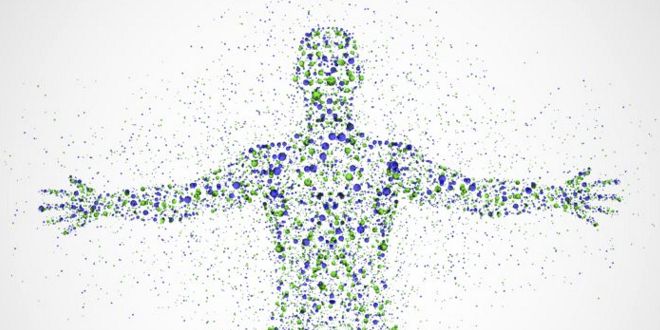 ¿Cómo afecta el Ayuno Intermitente a la Microbiota? ¿Cómo afecta el Ayuno Intermitente a la Microbiota?