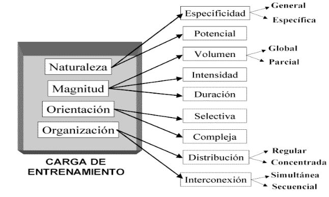 figura 1