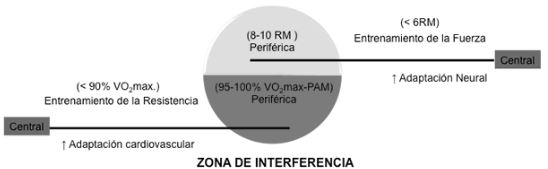 Figura 2