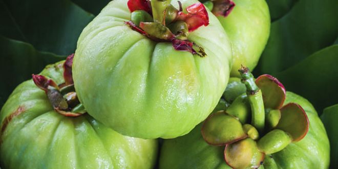 Garcinia