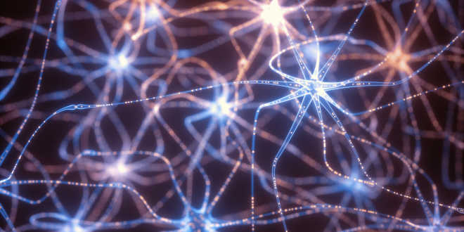 Maca negra e capacidade cognitiva maca negra e capacidade cognitiva
