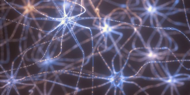 Neuronas