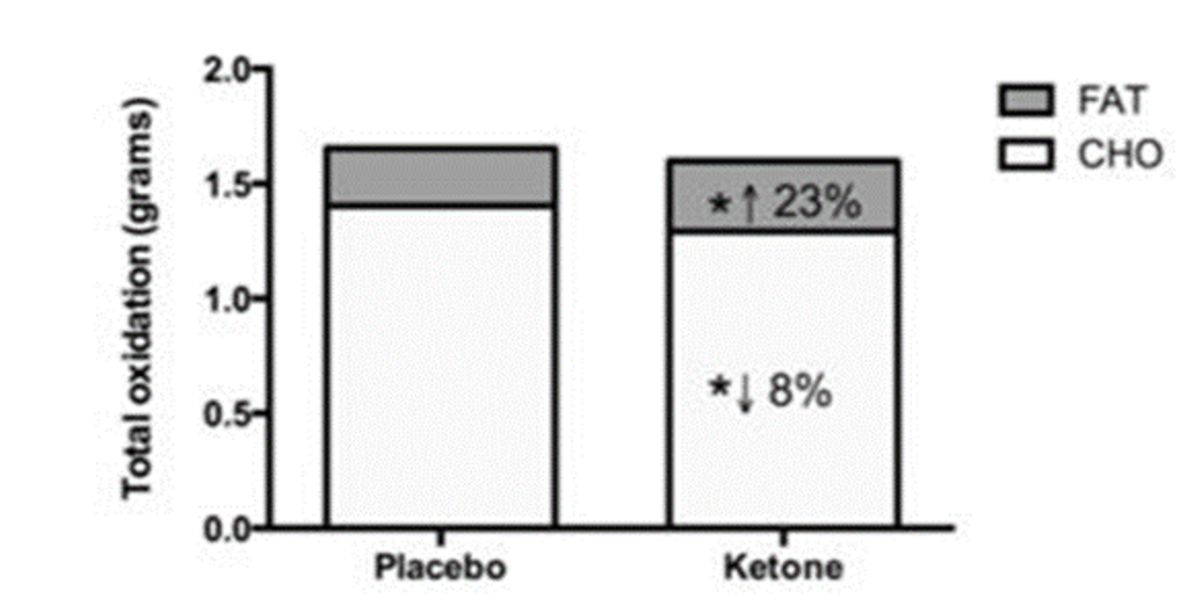Oxidation von Kohlenhydraten und Fetten