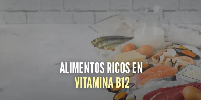 Los alimentos más ricos en Vitamina B12