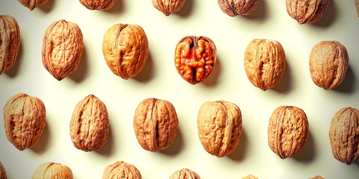 Collagène dans les aliments