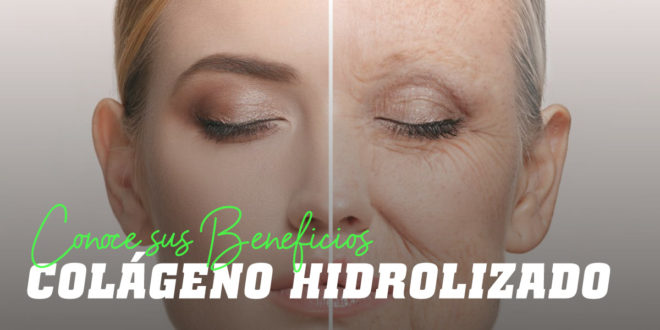 Qué es el Colágeno: Propiedades y Beneficios