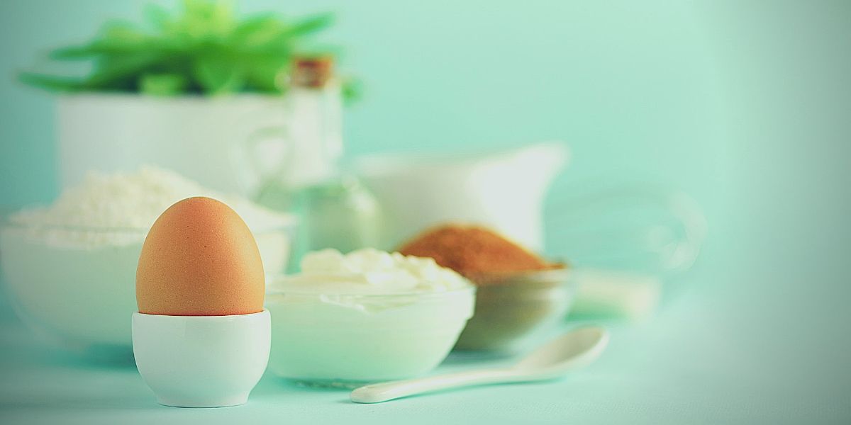 Blanc d’Œuf source de Proline